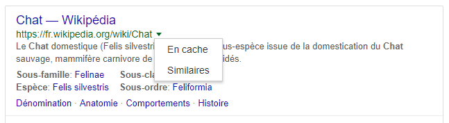 fonctions google